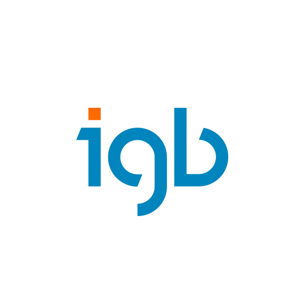 igb - In Dimensionen bauen